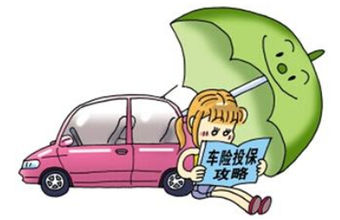 机动车辆保险各险种分别承担什么责任 