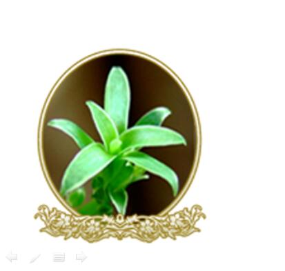 遗嘱的形式及效力认定